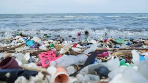 10 Easy Ways to Reduce Your Plastic Waste